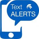 text
